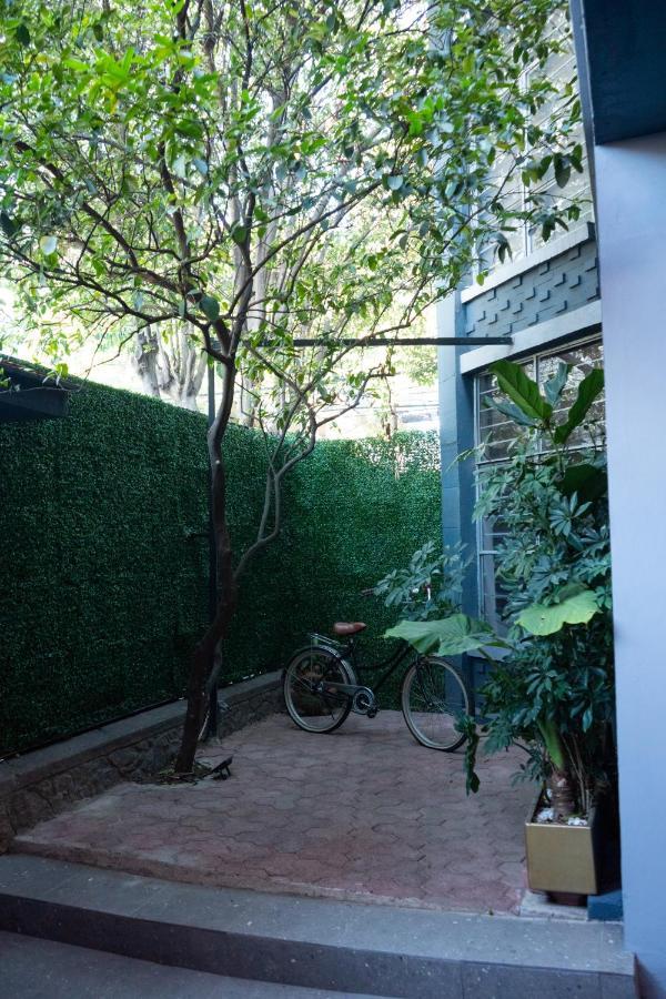 Coyoacan - Suite 1 De Lujo En Napoles Cama Queen Size Con Jardin Privado México DF Exterior foto
